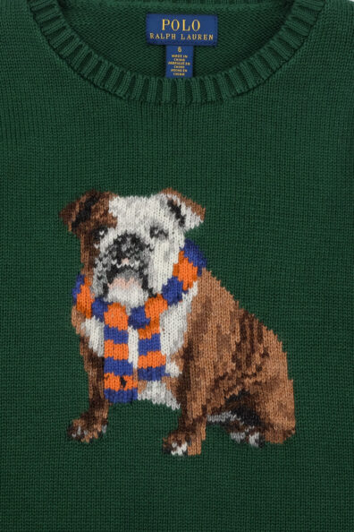 Детский вязаный свитер с рисунком фото 2 Детский вязаный свитер с рисунком